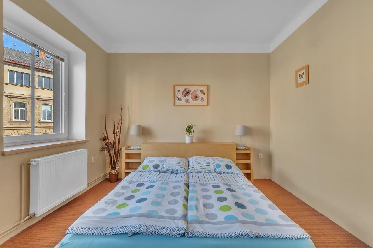 Apartman U Javorky Lázně Bělohrad Exterior foto